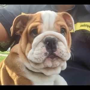 Meet your Posher, Roberto